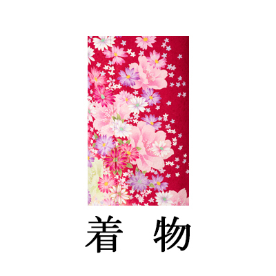 中振袖【538 エンジ花音】SM