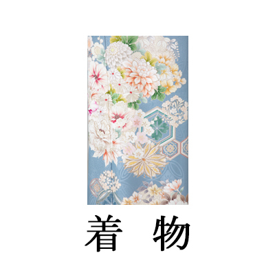 中振袖【524 亀甲花の丸】M